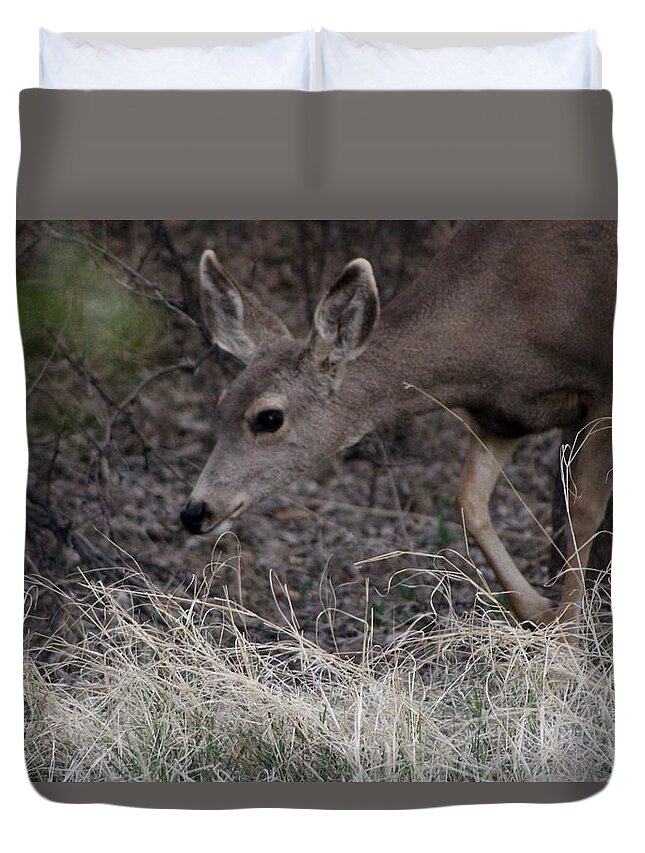 Deer Duvet Cover featuring the photograph Doe Carefully Grazing in Tombstone by Colleen Cornelius