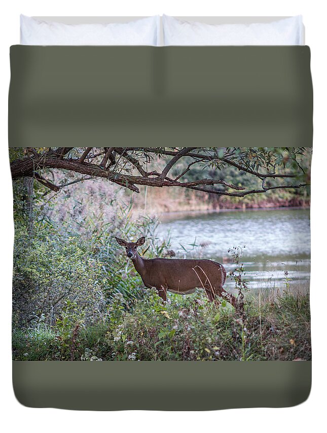 Bordeleau Duvet Cover featuring the photograph Doe Under Arching Branches by Chris Bordeleau