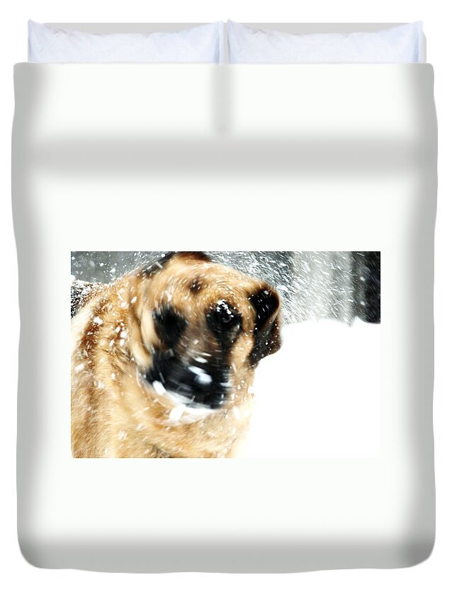 Animals Duvet Cover featuring the photograph Dog Blizzard - German Shepherd by Angie Tirado