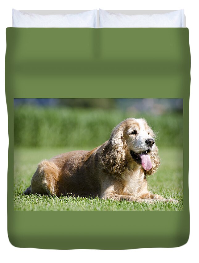 Dog Duvet Cover featuring the photograph Dog lying down on the green grass by Mats Silvan