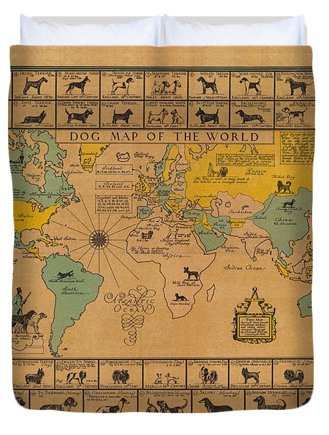 Dog Map Of The World Breeds Of Dogs From Around The World For