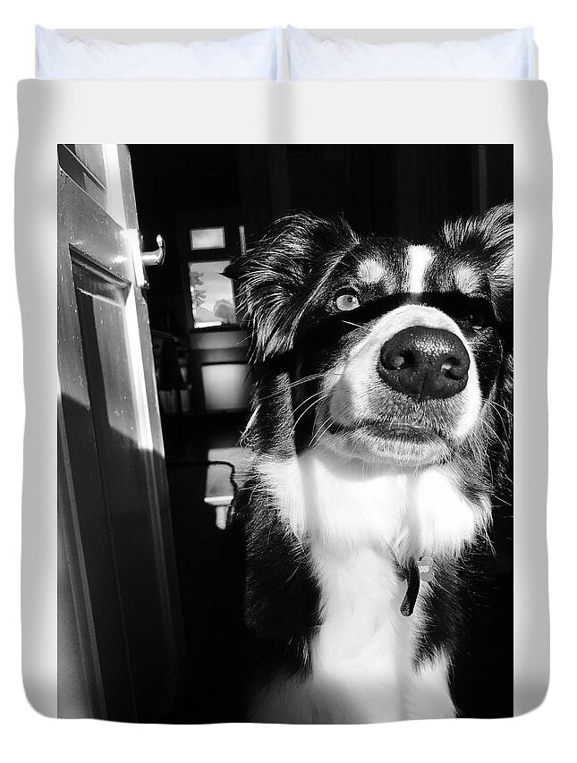 Dog Duvet Cover featuring the photograph Dog Portrait by Jack Thorington