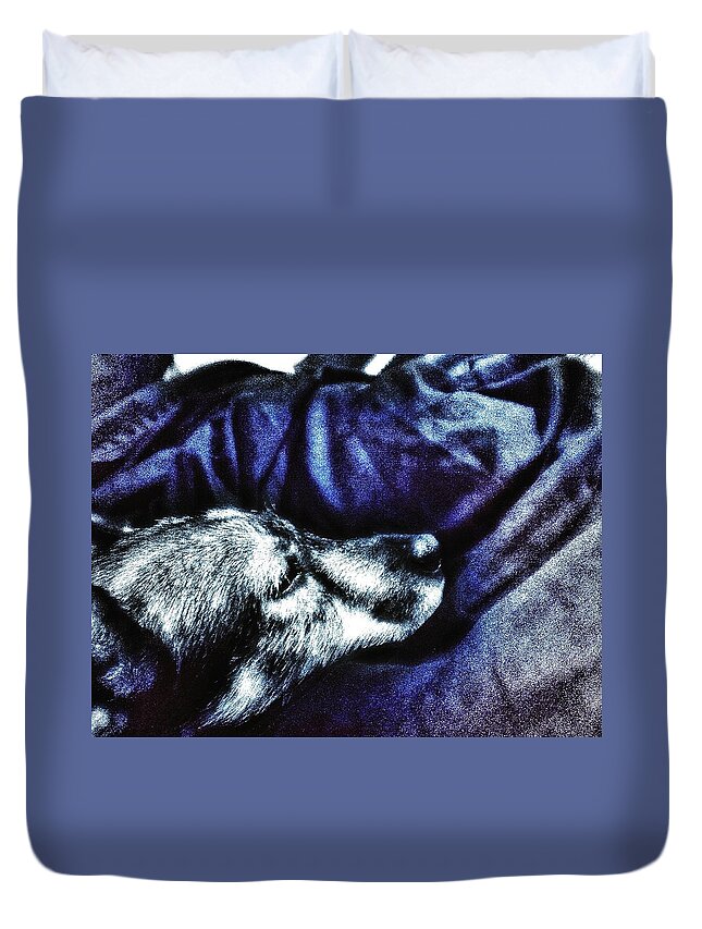 Dog Duvet Cover featuring the photograph Doggie at Rest by Eddie G