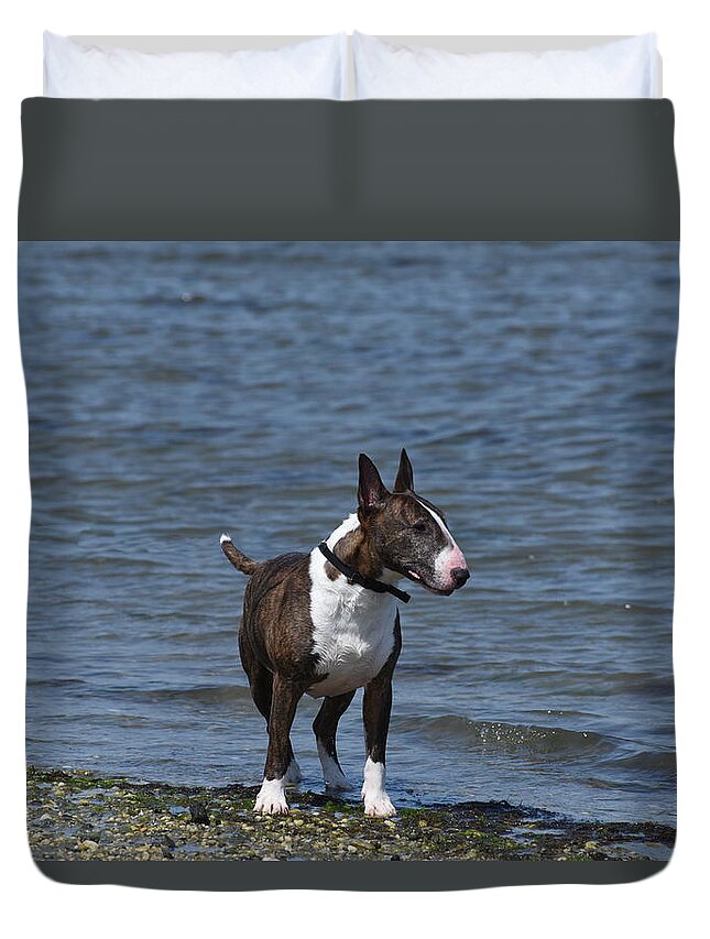 Bull Terrier Duvet Cover featuring the photograph Dogs 344 by Joyce StJames