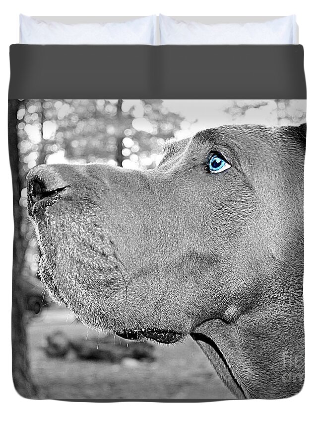 Dog Duvet Cover featuring the photograph Dogus by Jenny Revitz Soper