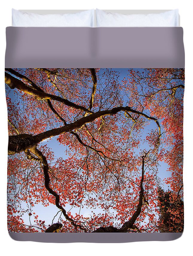 Dogwood Blossoms Duvet Cover featuring the photograph Dogwood Blossoms by Kunal Mehra
