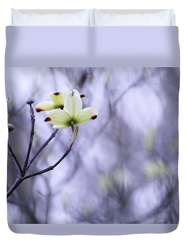 Tree Duvet Cover featuring the photograph Dogwood by Tammy Schneider