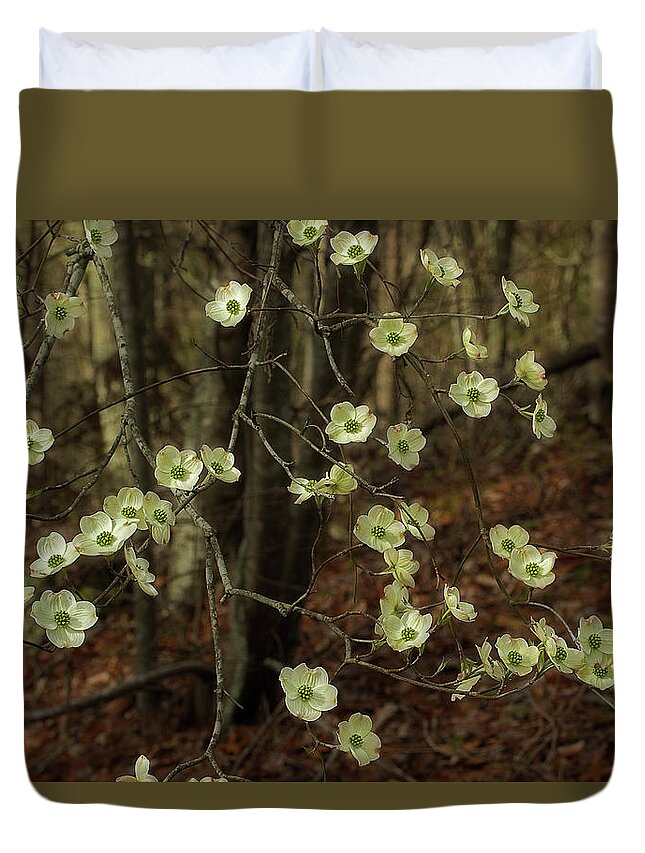 Dogwood Duvet Cover featuring the photograph Dogwoods In The Spring by Mike Eingle