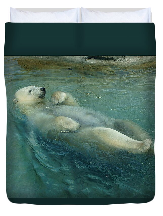 Animal Duvet Cover featuring the photograph Doing Tricks 1 by Dimitry Papkov