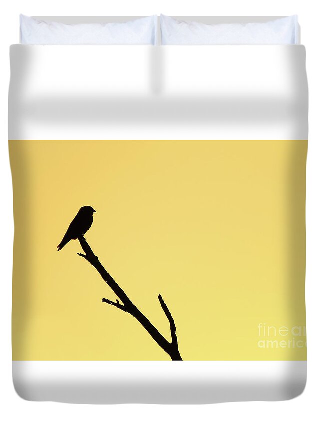 Australia Duvet Cover featuring the photograph Dollarbird Sunrise Silhouette by Max Allen