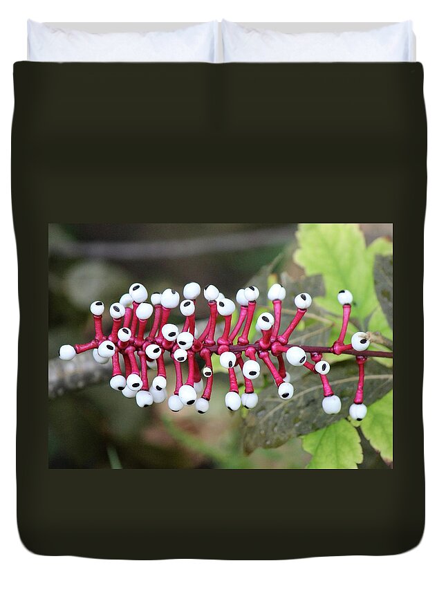 White Baneberry Duvet Cover featuring the photograph Dolls Eyes by David Pickett