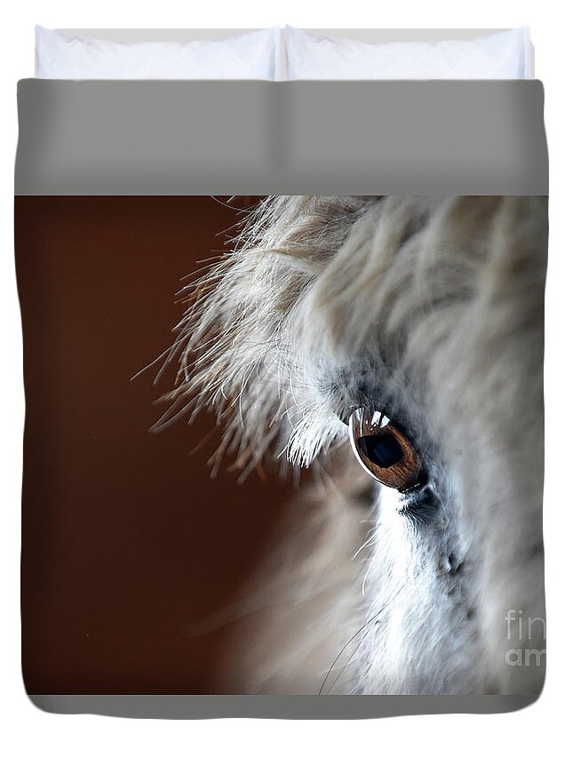 Donkeys Duvet Cover featuring the photograph Donkey #389 by Carien Schippers