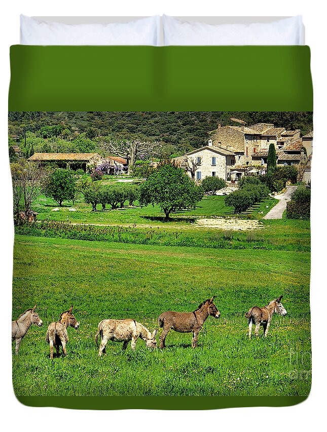 Provence Duvet Cover featuring the photograph Donkeys in Provence by Olivier Le Queinec