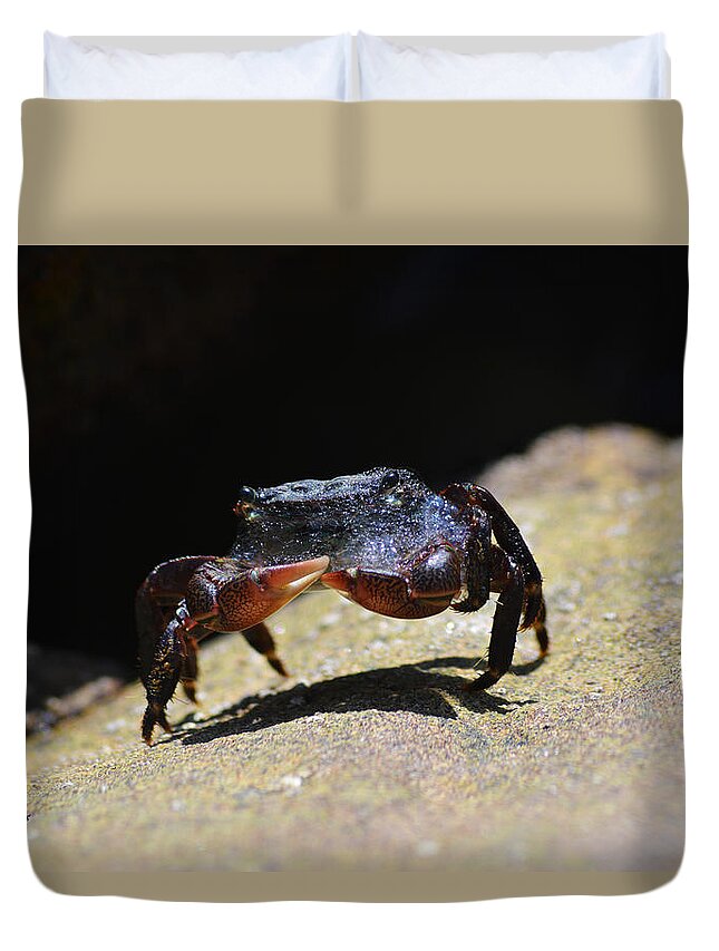 I Was Exploring The Tide Pools In Laguna Beach When I Stumbled Across This Little Guy Sunbathing With A Mouth Full Of Foam. I Could Not Resist The Shot. Duvet Cover featuring the photograph Don't Be So Crabby by Erin Casperson