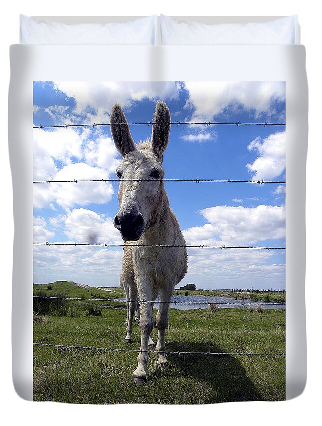 Horse Duvet Cover featuring the photograph Don't Fence Me In 000 by Christopher Mercer
