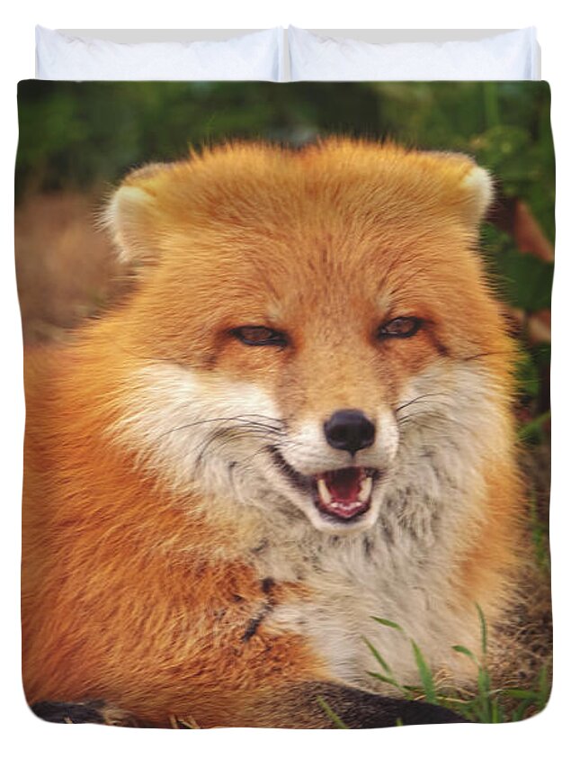 Animal Duvet Cover featuring the photograph Don't Make Me Laugh by Brian Cross