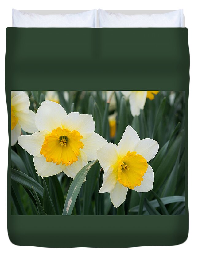 Daffodils Duvet Cover featuring the photograph Double Daffodils by Holden The Moment