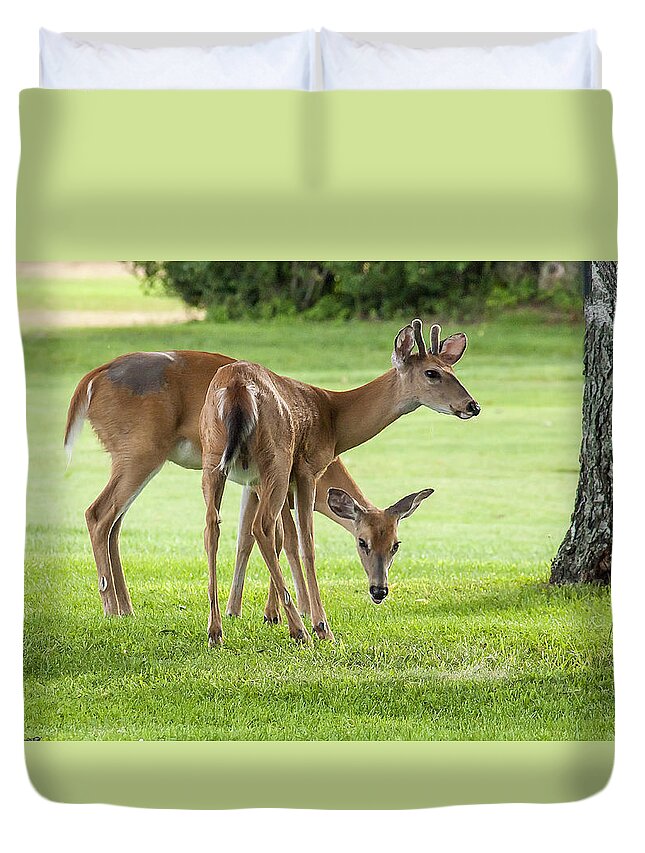 Deer Duvet Cover featuring the photograph Double Deer by Cathy Kovarik