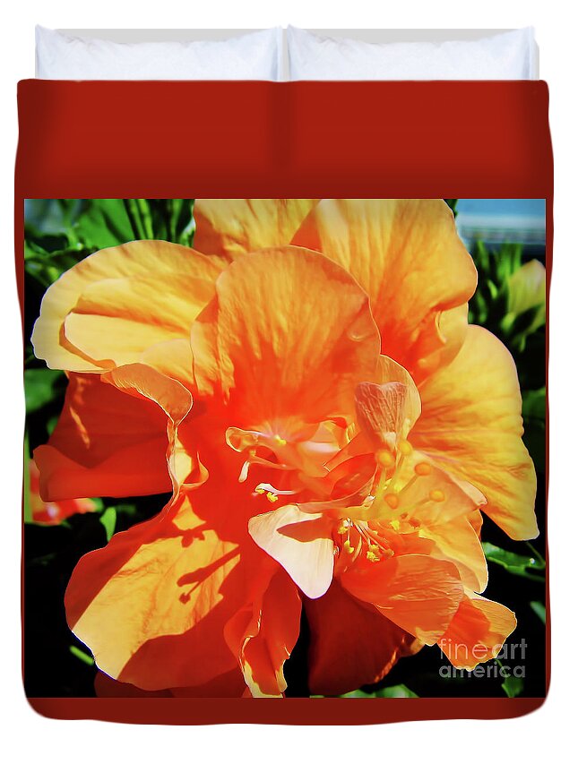 Hibiscus Duvet Cover featuring the photograph Double Hibiscus by D Hackett