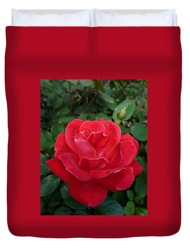 Rose Duvet Cover featuring the photograph Red Rose by William Tanneberger
