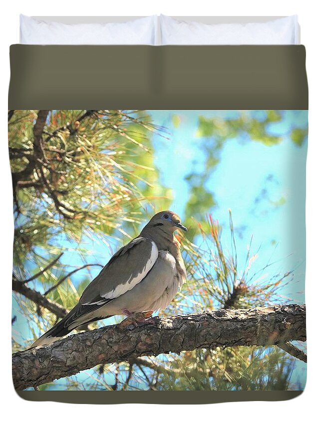 Nature Duvet Cover featuring the photograph Dove in Pine Tree by Sheila Brown