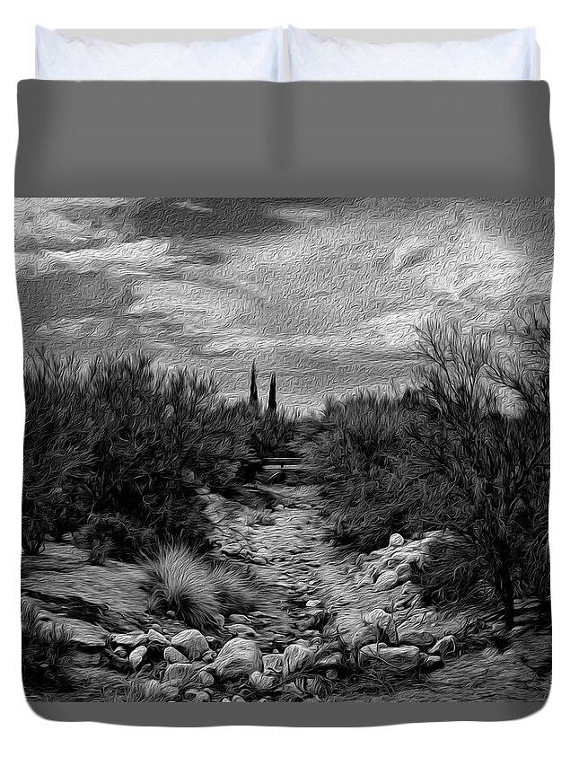 Arizona Duvet Cover featuring the photograph Down The Wash op25 by Mark Myhaver