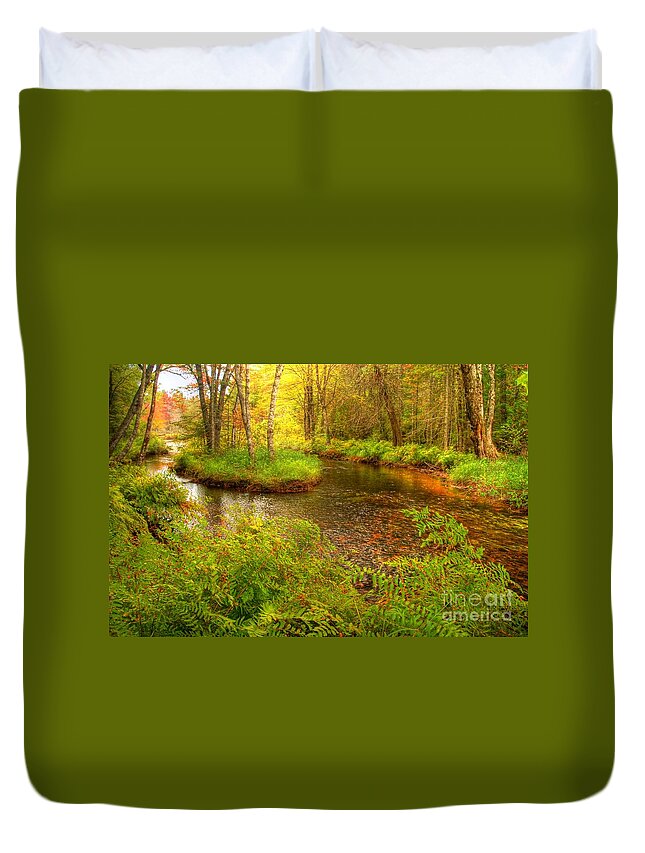 Stream Duvet Cover featuring the photograph Downeast Fall Stream by Alana Ranney