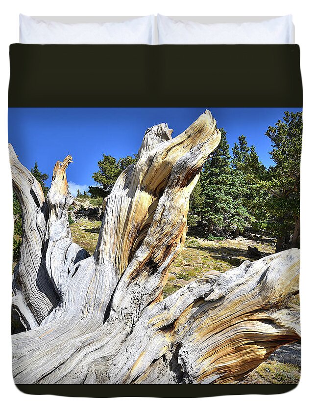 Mount Goliath Natural Area Duvet Cover featuring the photograph Downed Goliath by Ray Mathis