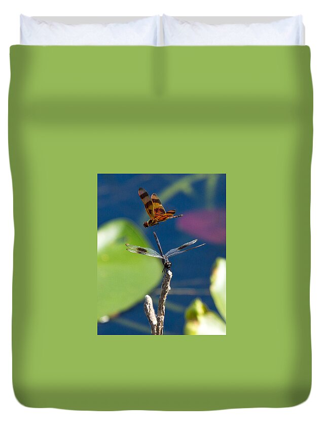 Dragon Fly Duvet Cover featuring the photograph Dragon Fly 195 by Michael Fryd