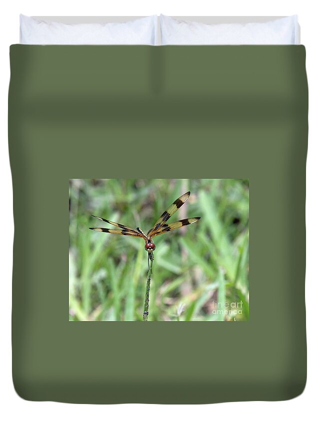 Nature Duvet Cover featuring the photograph Dragon fly by Liz Grindstaff