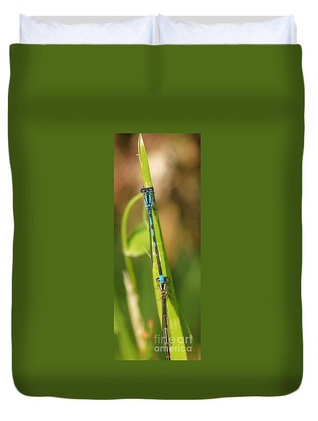 Dragonfly Duvet Cover featuring the photograph Dragonfly 15 by Vivian Martin