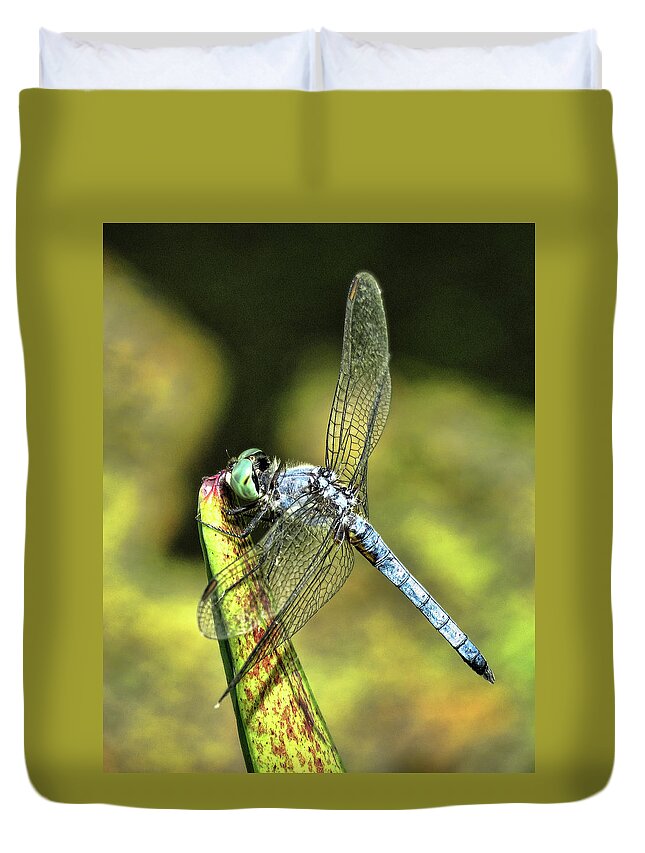 Dragonfly Duvet Cover featuring the photograph Dragonfly 2 by Helaine Cummins