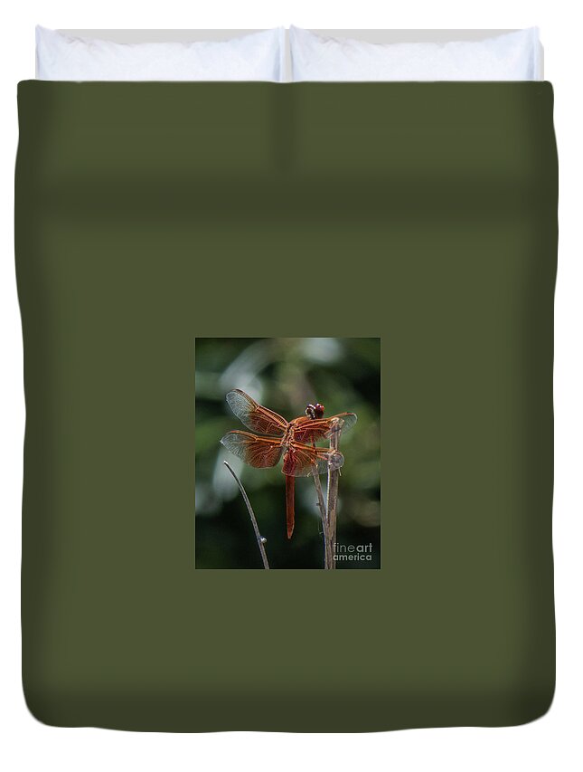 Dragonfly Duvet Cover featuring the photograph Dragonfly 9 by Christy Garavetto