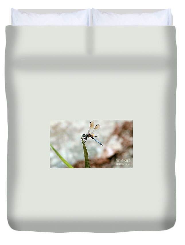 Insect Duvet Cover featuring the photograph Nature_Dragonfly at Cypress Gardens by Randy Matthews