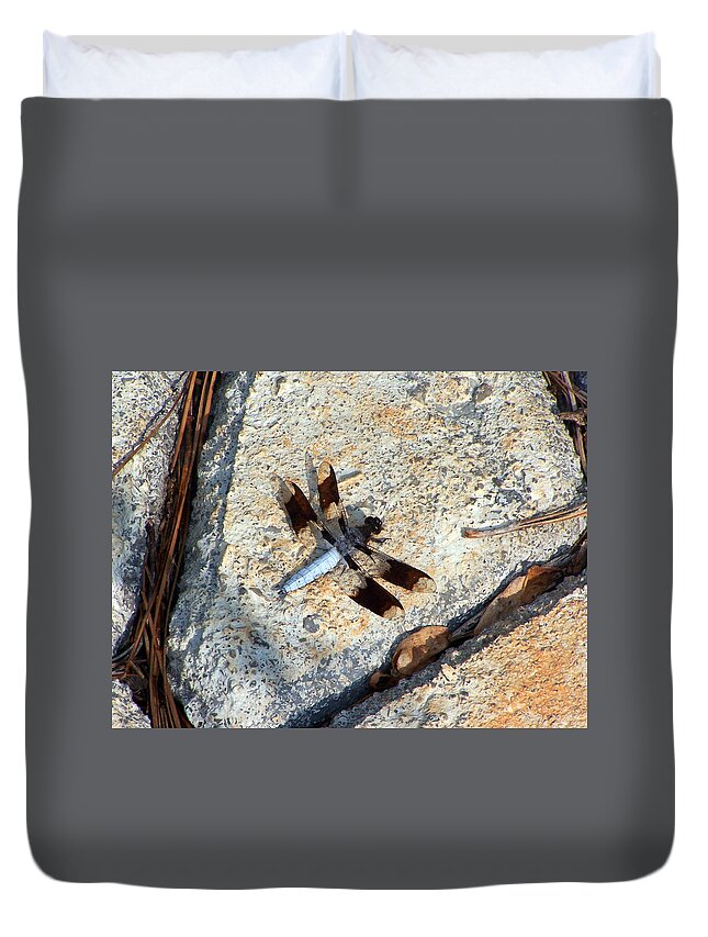Insects Duvet Cover featuring the photograph Dragonfly Display by Jennifer Robin