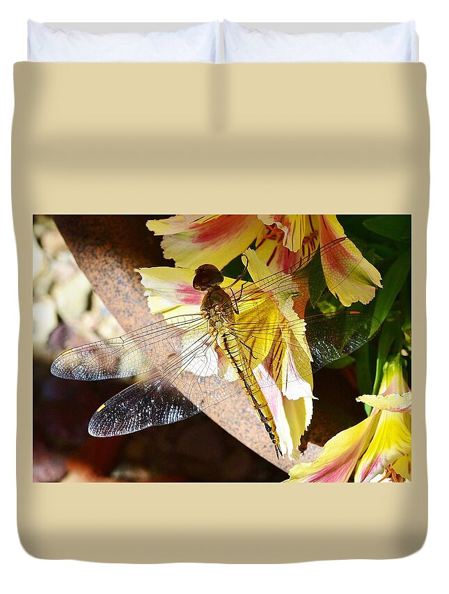 Linda Brody Duvet Cover featuring the photograph Dragonfly I by Linda Brody