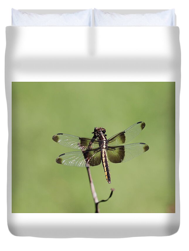 Dragonfly. Dragon Fly Duvet Cover featuring the photograph Dragonfly by John Moyer