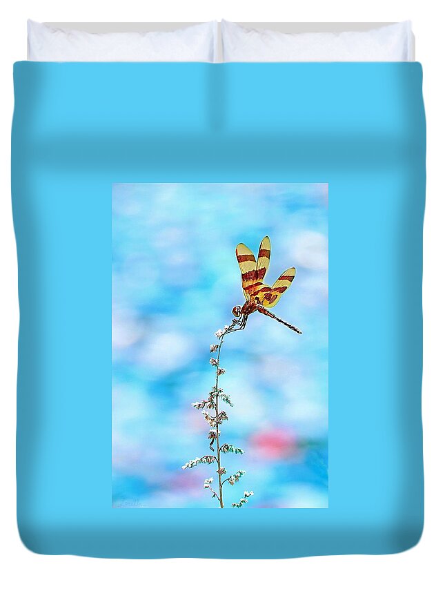 Dragonfly Duvet Cover featuring the photograph Dragonfly by Lorella Schoales