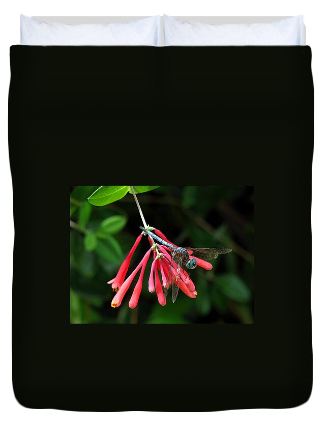 Nature Duvet Cover featuring the photograph Dragonfly on Honeysuckle by Peggy Urban