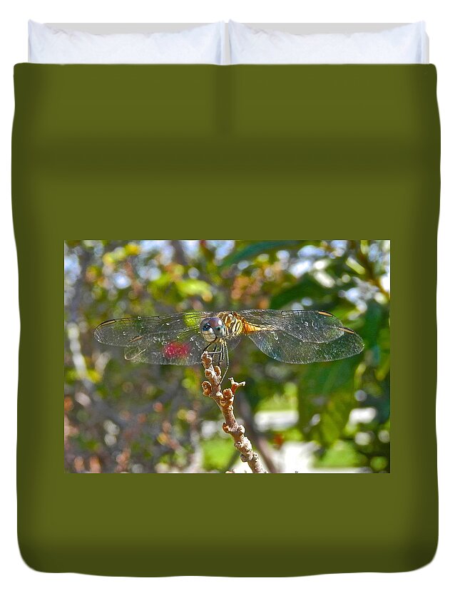 Damselfly Duvet Cover featuring the photograph Dragonfly Smiling by Joe Wyman