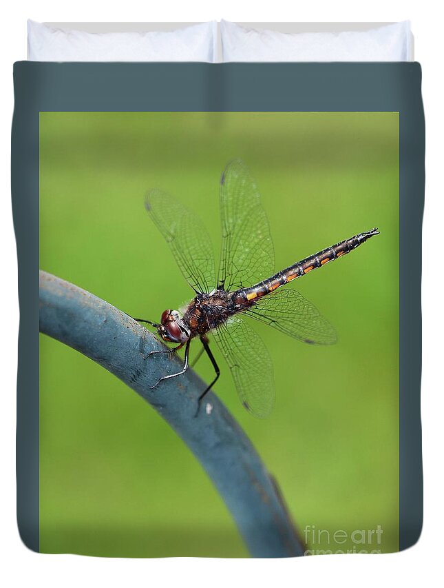 Dragonfly Duvet Cover featuring the photograph Dragonfly Visitor by Cindy Manero