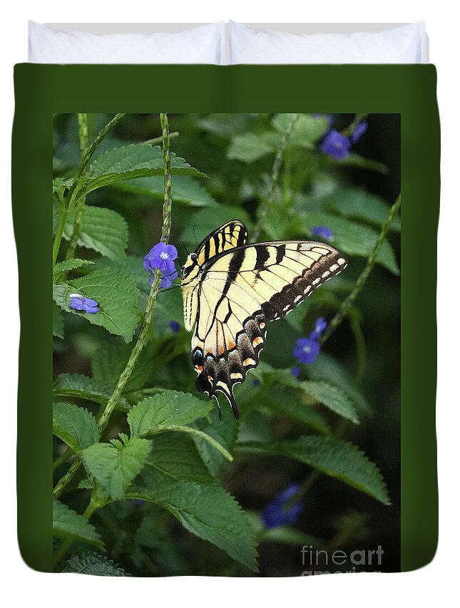 Swallowtail Butterfly Duvet Cover featuring the photograph Dramatic Swallowtail Butterfly by Carol Groenen