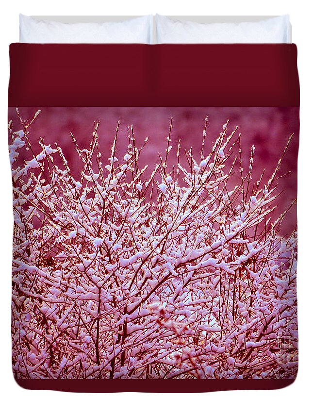Dreaming In Red Duvet Cover featuring the photograph Dreaming in red - Winter Wonderland by Susanne Van Hulst