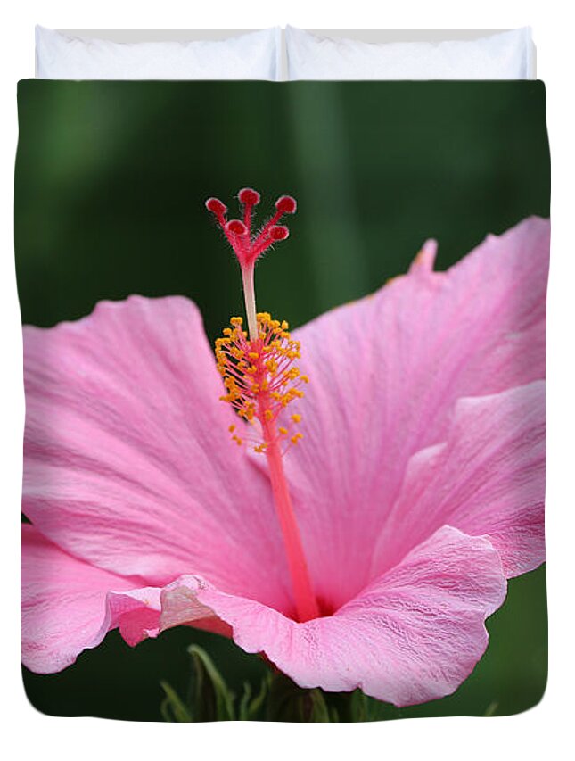 Hibiscus Duvet Cover featuring the photograph Dreaming of the Tropics by DiDesigns Graphics
