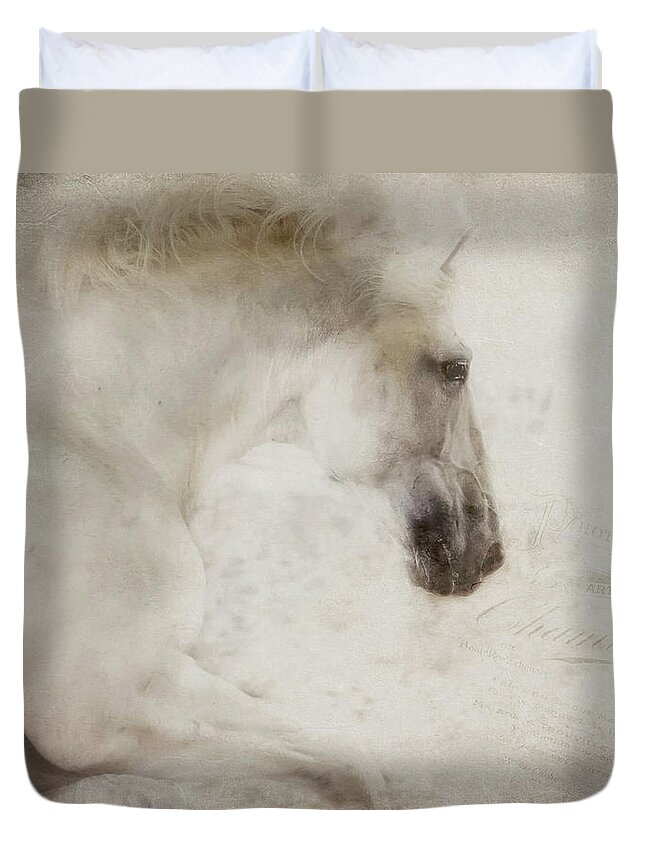 Classical Horses Duvet Cover featuring the photograph Dreams by Pamela Steege