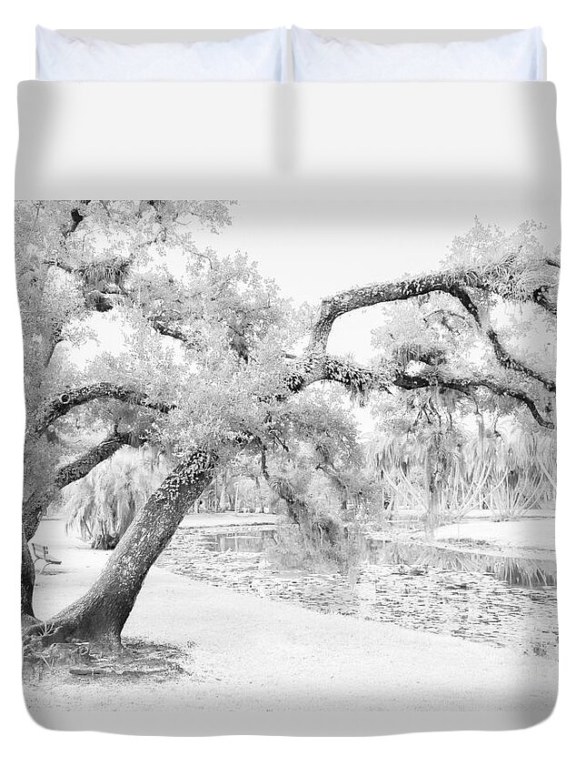 Live Oak Trees Duvet Cover featuring the photograph Dreams Without Color by Liesl Walsh