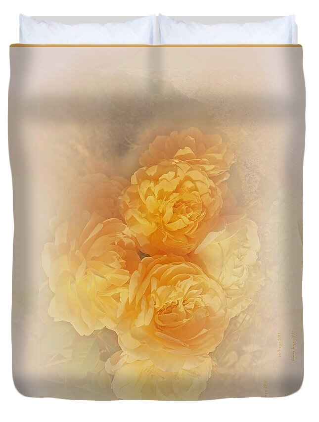 Flowers Duvet Cover featuring the photograph Dreamy Roses by Elaine Teague