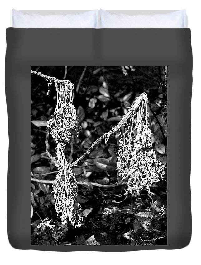 Garden Plant Plants Black White Dead Dried Three High Contrast Stark Macro Close Up Closeup Abstract Delaware Duvet Cover featuring the photograph Dried Plant #81 by Raymond Magnani