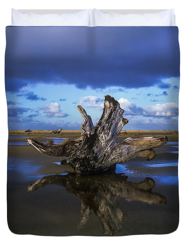 Beaches Duvet Cover featuring the photograph Driftwood and Reflection by Robert Potts