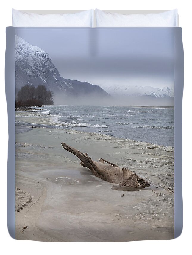 Alaska Duvet Cover featuring the photograph Driftwood Animal by Michele Cornelius